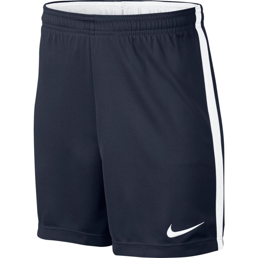 Nike academy dry shorts best sale