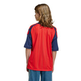 Spain 26 Home Replica Kids Jersey