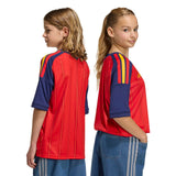 Spain 26 Home Replica Kids Jersey